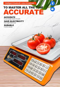 best electronic scales